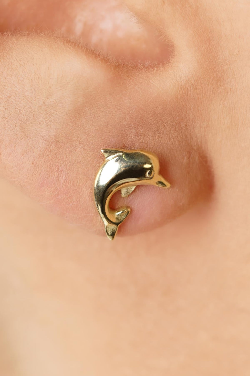 14ct Gold Dolphin Studs, Sea Jewelry