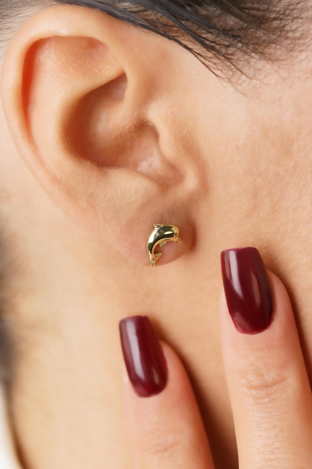 14ct Gold Dolphin Studs, Sea Jewelry